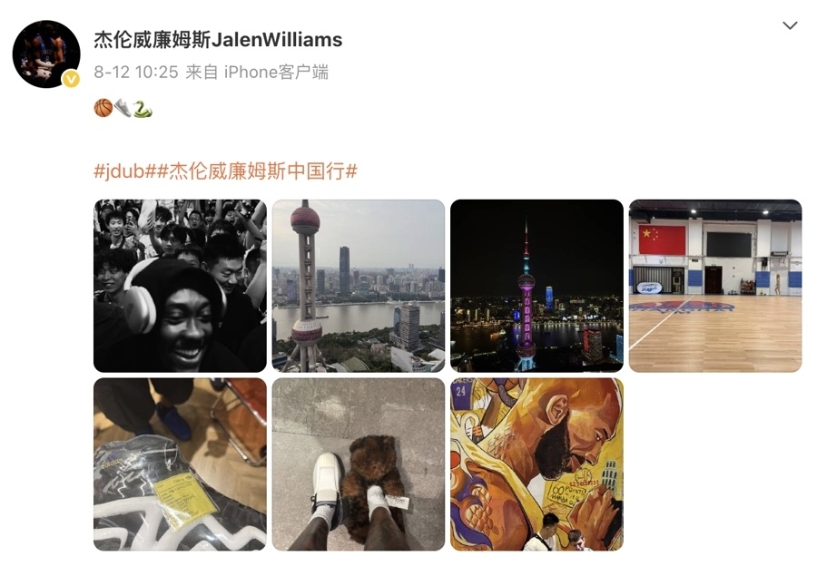 威廉姆斯频, 日在上海结, 并肩同行