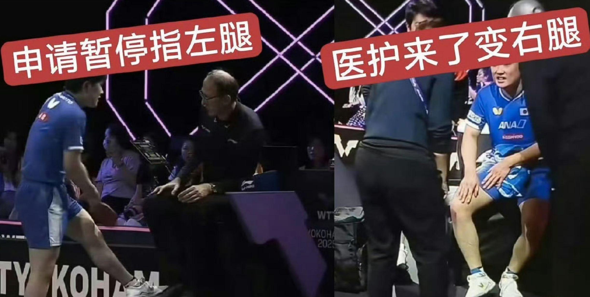 他向裁判指, 嫌疑 他向裁判指, 嫌疑