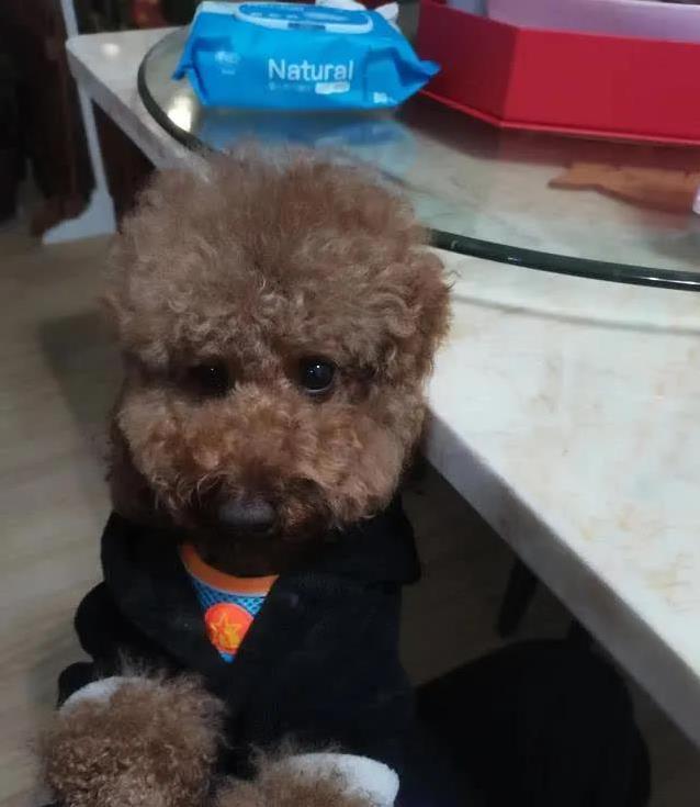 吃东西慢条, AA, 装修