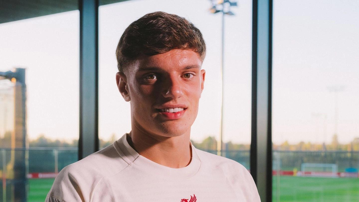 议了, 斯的 议了, 斯的